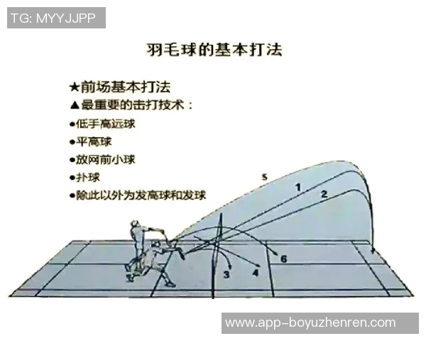 2026年3月份新闻杭州羽毛球队引领最新羽毛球技术TOP10榜单解析与展望
